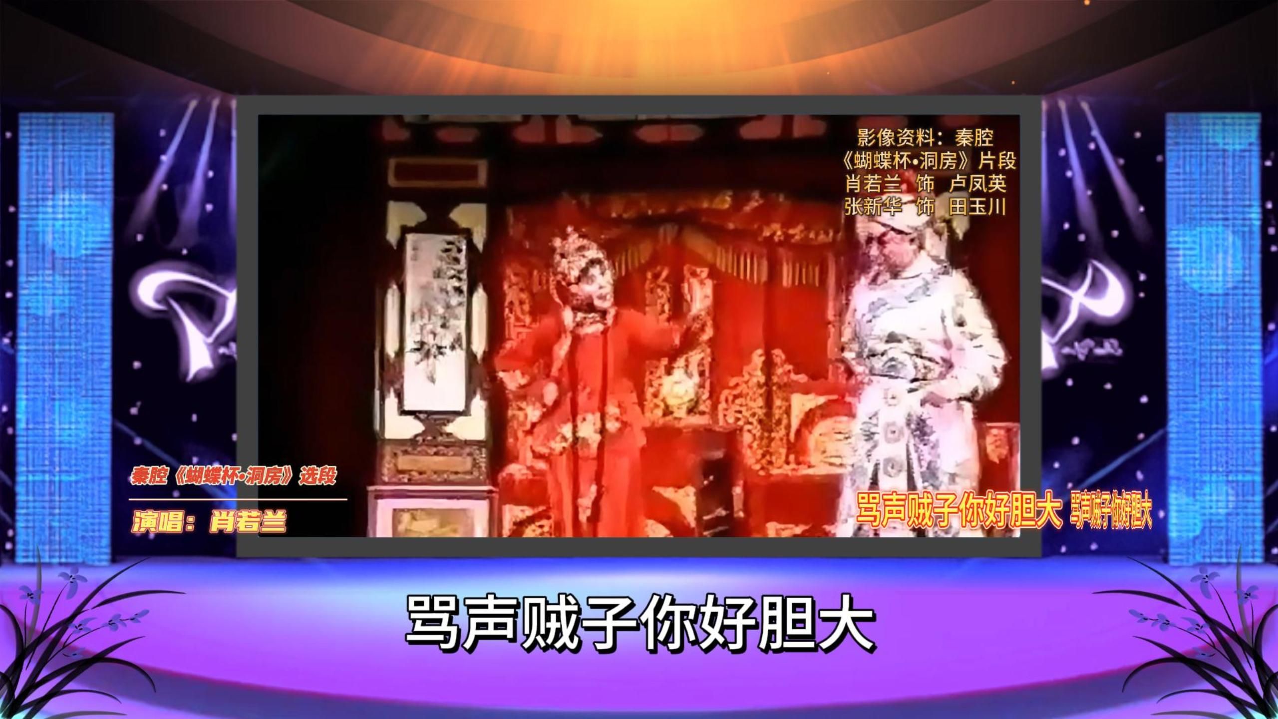 肖若兰秦腔《闹洞房》选段