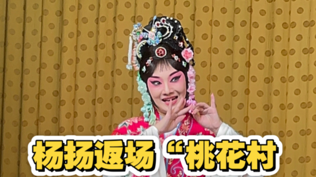 京剧《桃花村》经典唱段（杨扬）