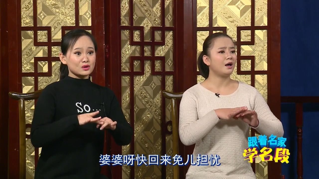 秦腔《打金枝·闹宫》名家教唱窦凤琴雷开元韩丽霞