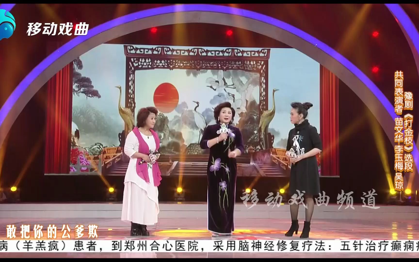 黄梅戏《打金枝》选段 苗文华吴琼李玉梅