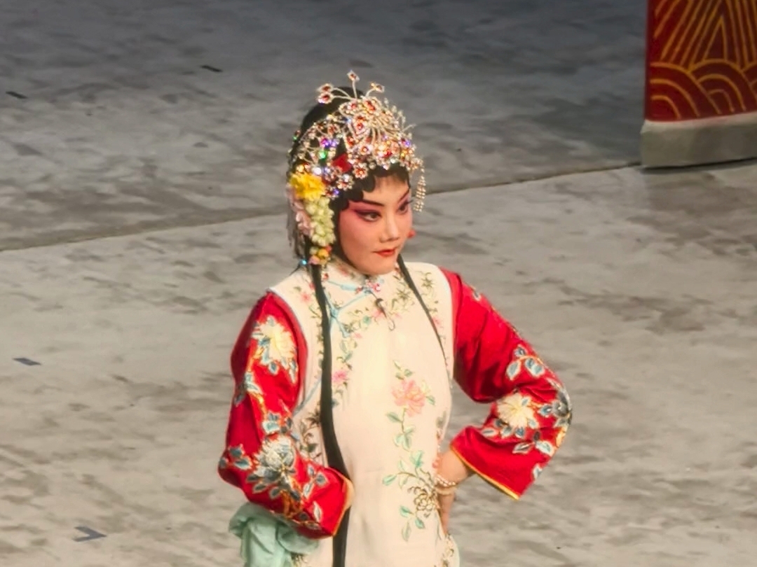 京剧《桃花村》朱虹返场演唱非是我