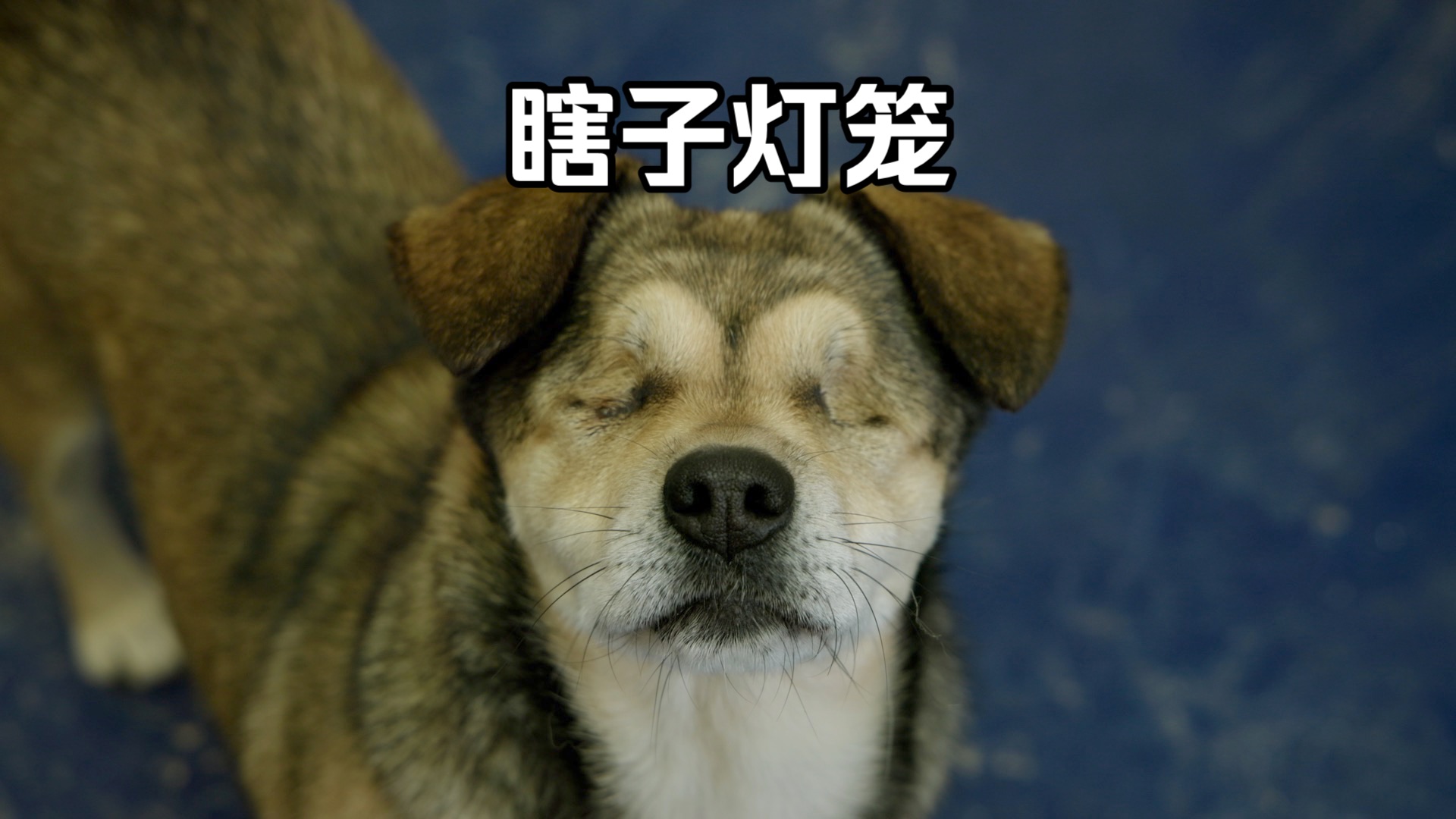 民间故事《灯笼引路》：看不见的灯笼