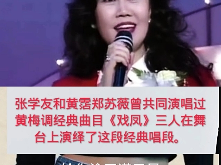 黄梅戏《游龙戏凤》张学友演唱