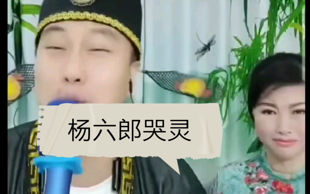 二人转《杨六郎哭灵》经典唱段