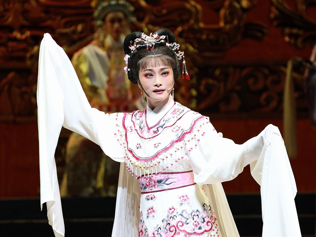豫剧《花木兰·替父从征》选段