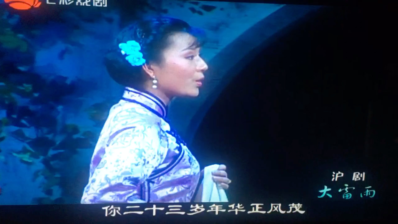 沪剧《大雷雨》悲凉世界选段 洪豆豆金世杰