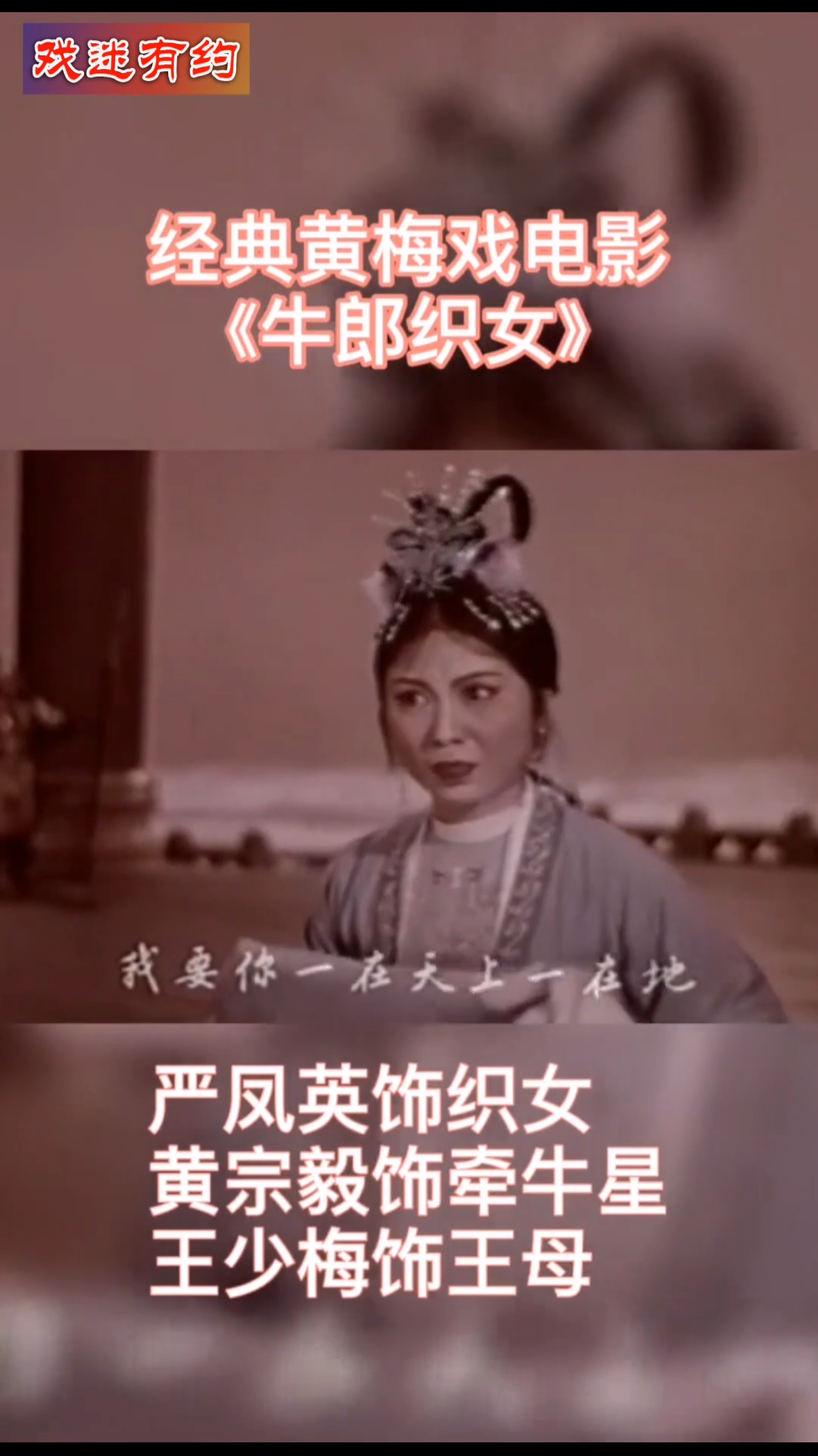 黄梅戏《牛郎织女》严凤英演唱