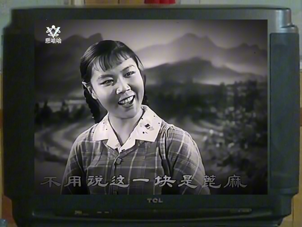 豫剧《朝阳沟》选段 银环下乡