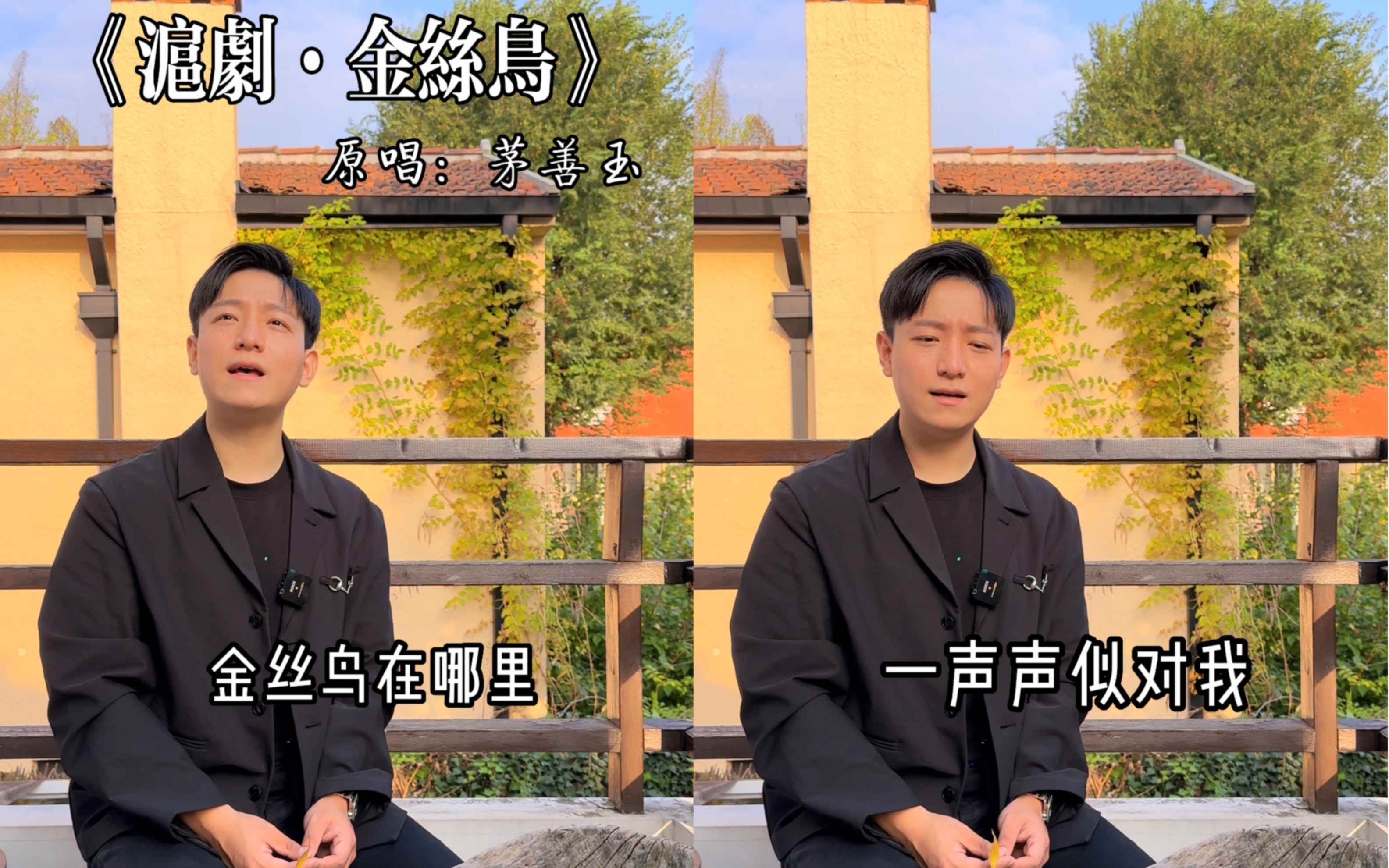沪剧《城市故事》歌曲《金丝鸟》吉他版