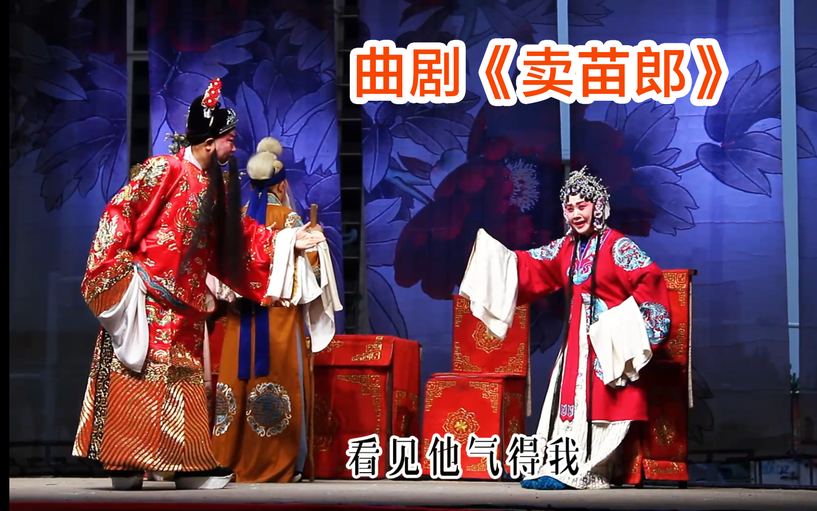 川剧《卖苗郎》苏咏梅老师精彩演绎