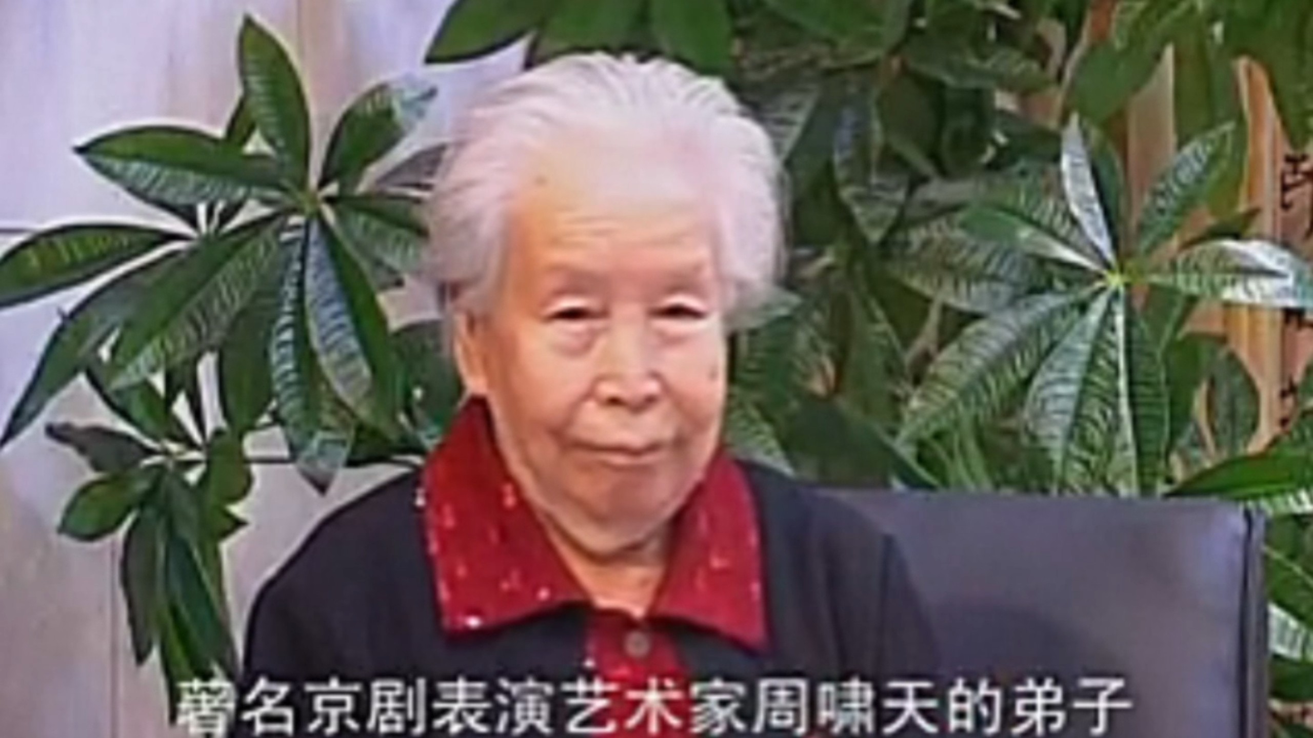 京剧《三搜索府》金振东清唱选段