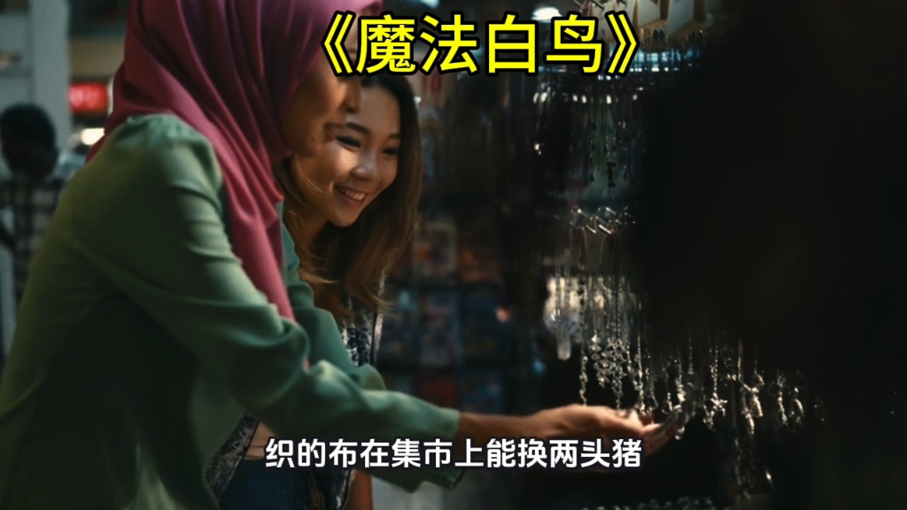 民间故事《法术》魔法白鸟