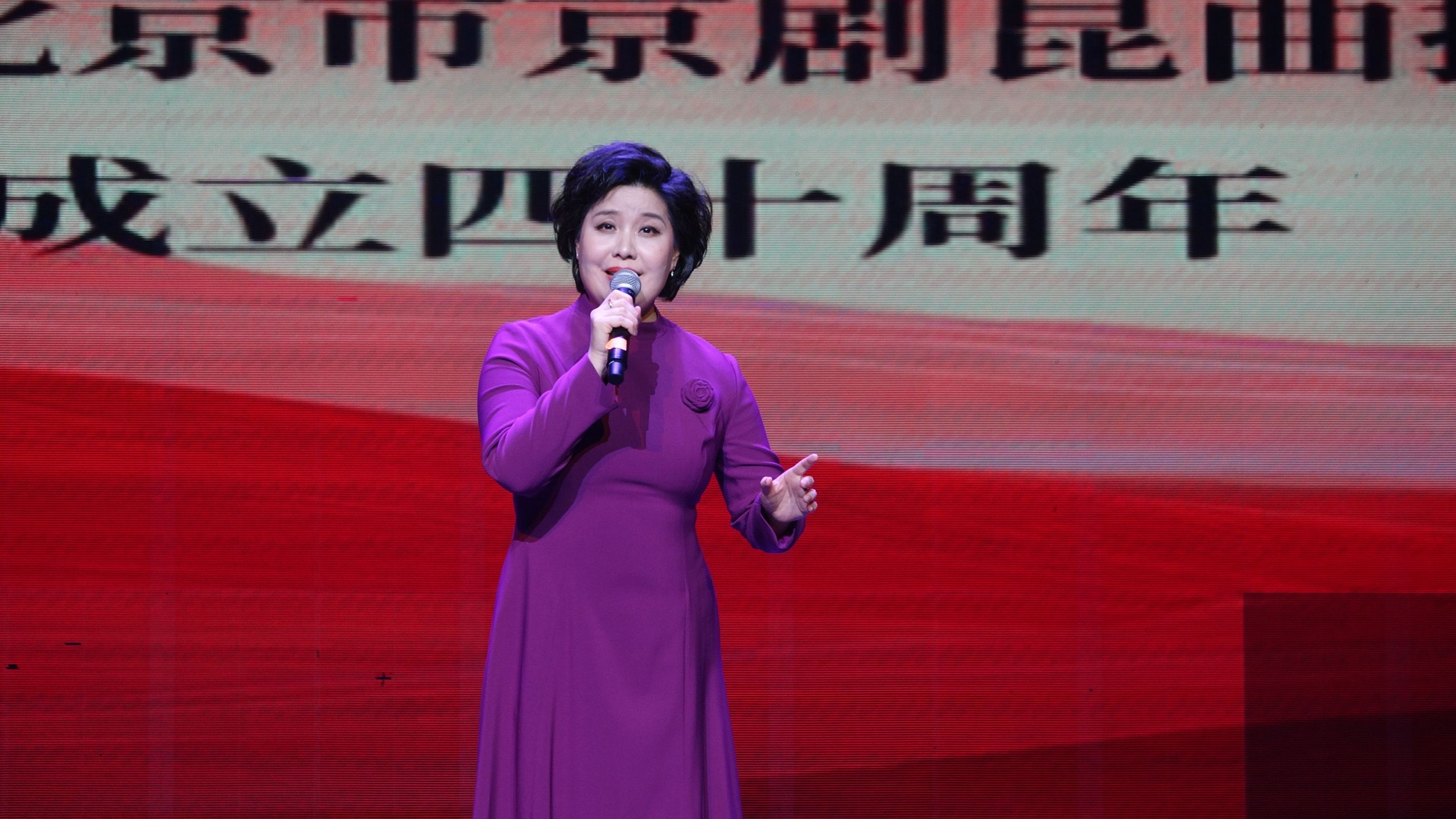 评剧《打龙袍》翟墨老旦选段