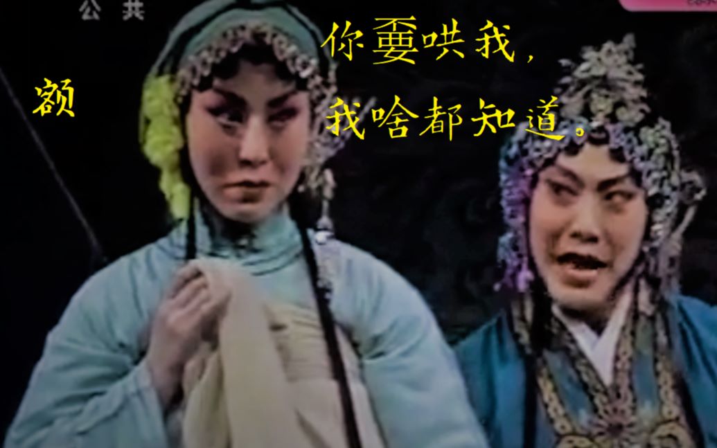 评剧《蝴蝶杯·定情》八卦田夫人