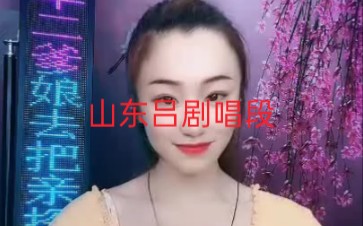 评剧《借宿》选段