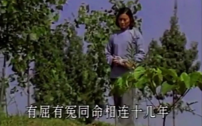 豫剧《倒霉大叔的婚事》紧走慢走四里半 汤玉英