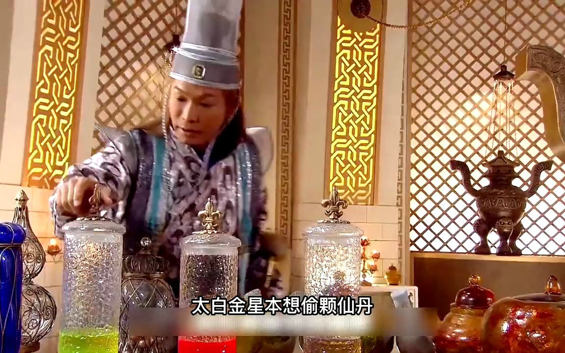 民间故事《猫妖复仇》小猫复仇记