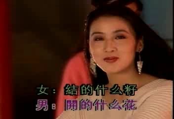黄梅戏《卖水》韩再芬、潘启才原唱