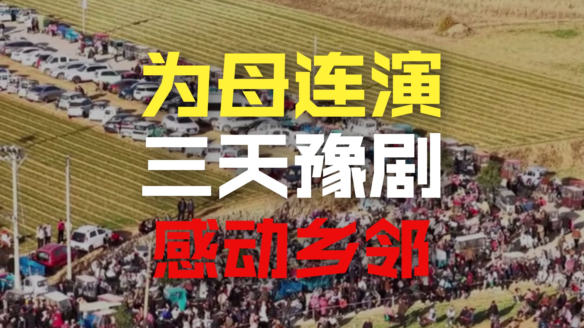 豫剧《赶集》下乡演出火爆，观众爆满