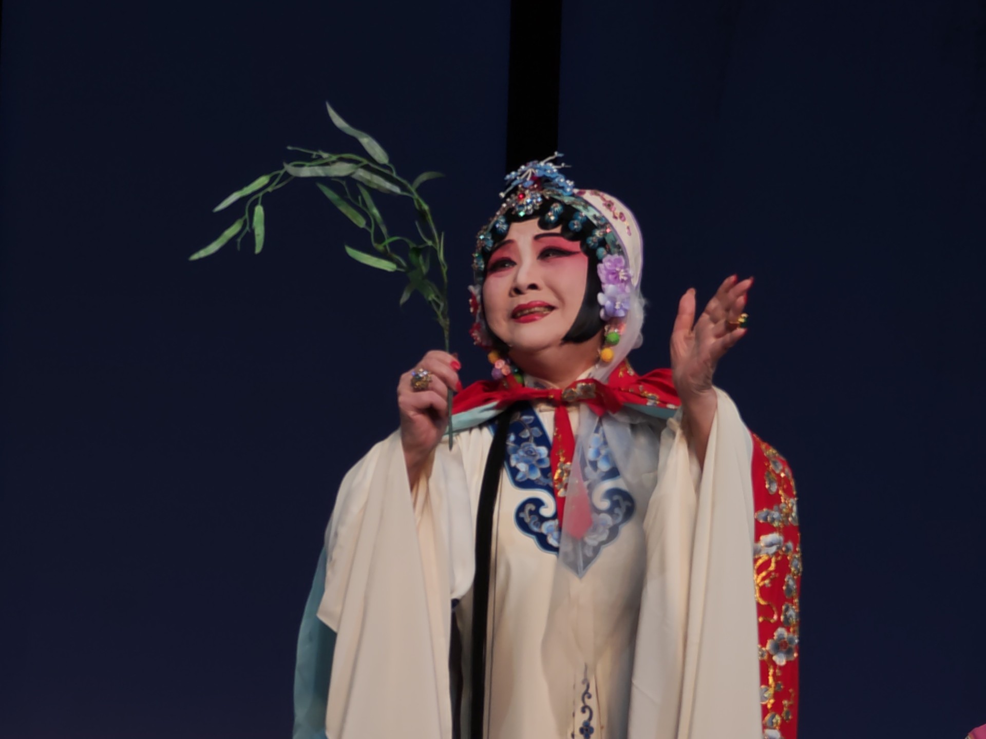 昆曲《牡丹亭·离魂》梁谷音主演