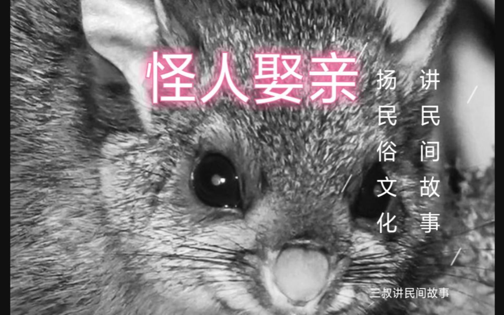 民间故事《化形》：精怪化形娶亲的奇闻