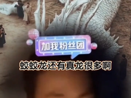 民间故事《隐世宗门》上古五洋宗传说