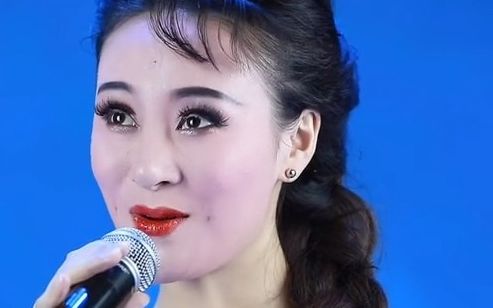 黄梅戏《碧玉簪》选段夜来灯花结双蕊