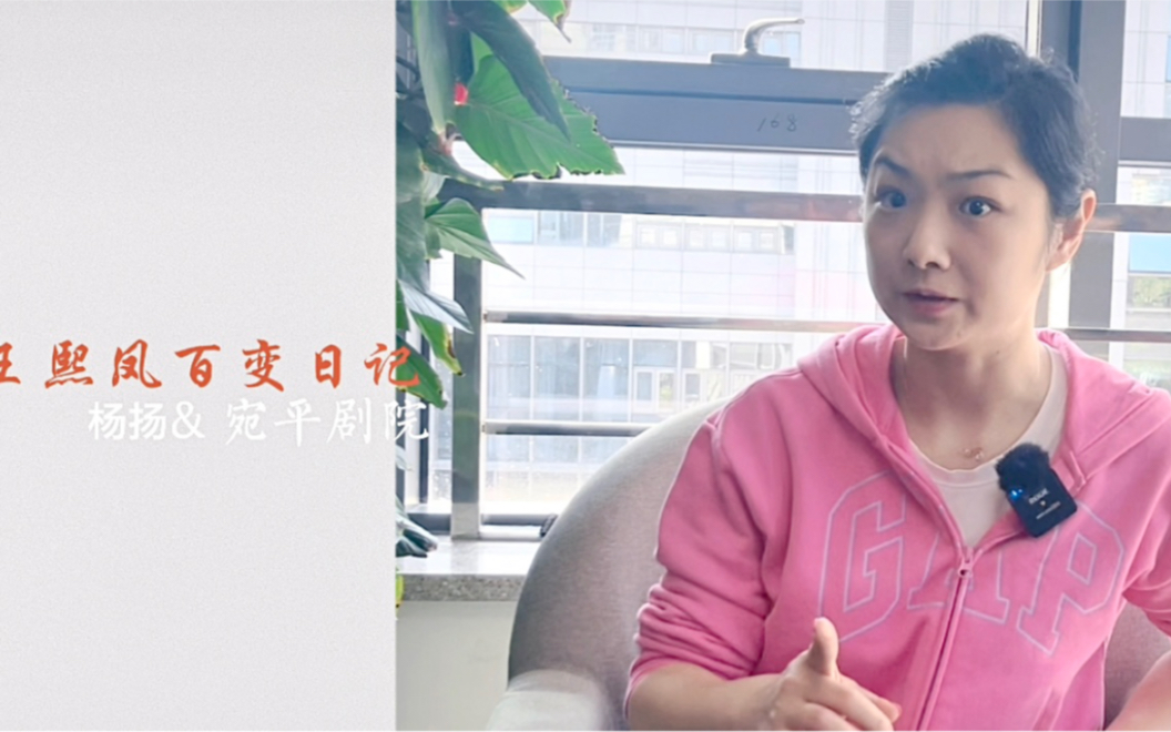 京剧《王熙凤大闹宁国府》精彩赏析