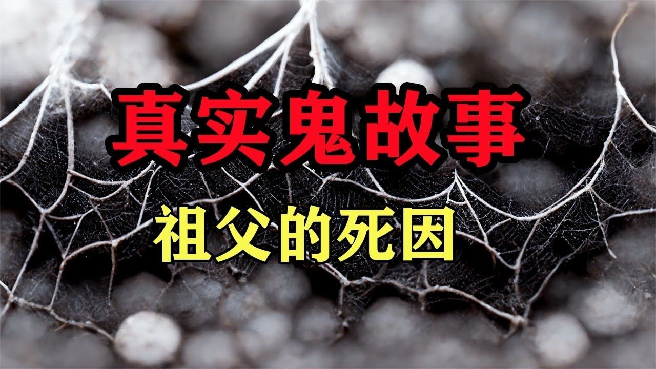 民间故事《幻术迷局》- 祖父的死因