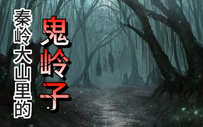 睡前恐怖故事:98年大学生在秦岭大山里失踪,山里到底有什么可怕的存在