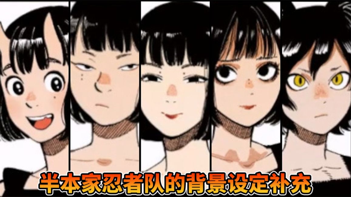 民间故事《迷宫空间》：揭秘半本家忍者队背后故事