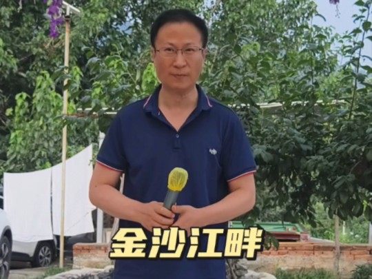 评剧《金沙江畔》小酸枣选段