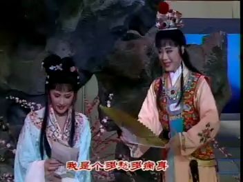越剧《天上掉下个林妹妹》（红楼梦）经典唱段