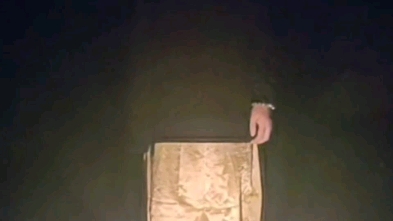 评剧《探亲》户外探险微电影