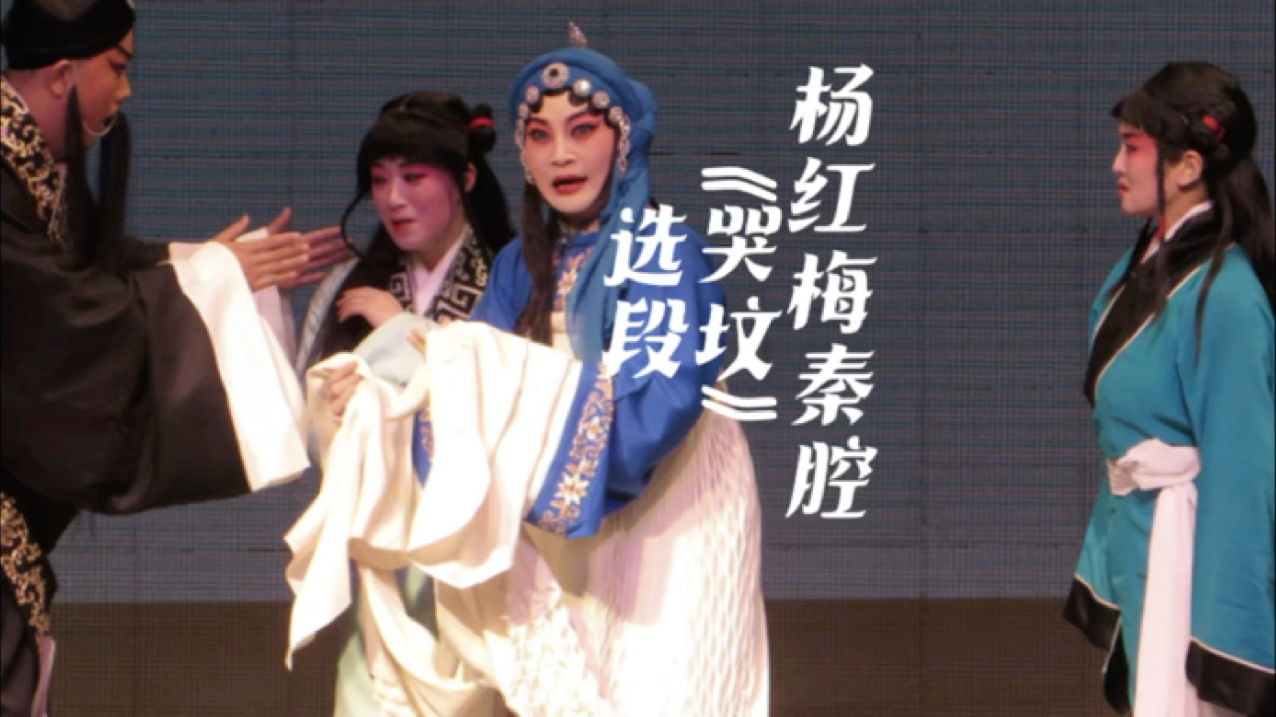 寒衣节思亲杨红梅秦腔《朱春登哭坟》选段这个版本太好听了