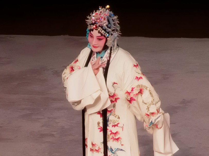 李国静老师《凤还巢》选段：本应当随母亲镐京避难