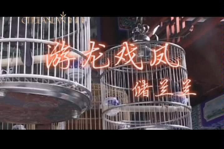 京剧《游龙戏凤》四平调选段（储兰兰版）