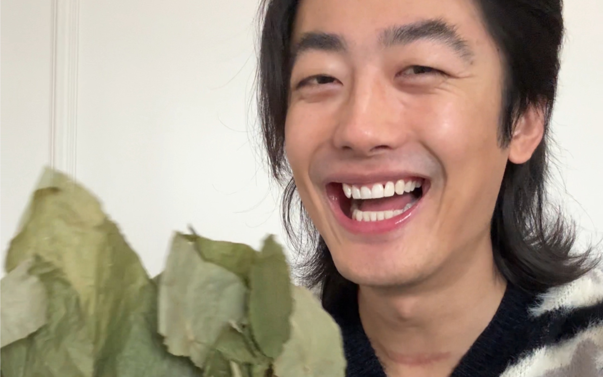 民间故事《仙草奇缘》传说中的中华九大仙草