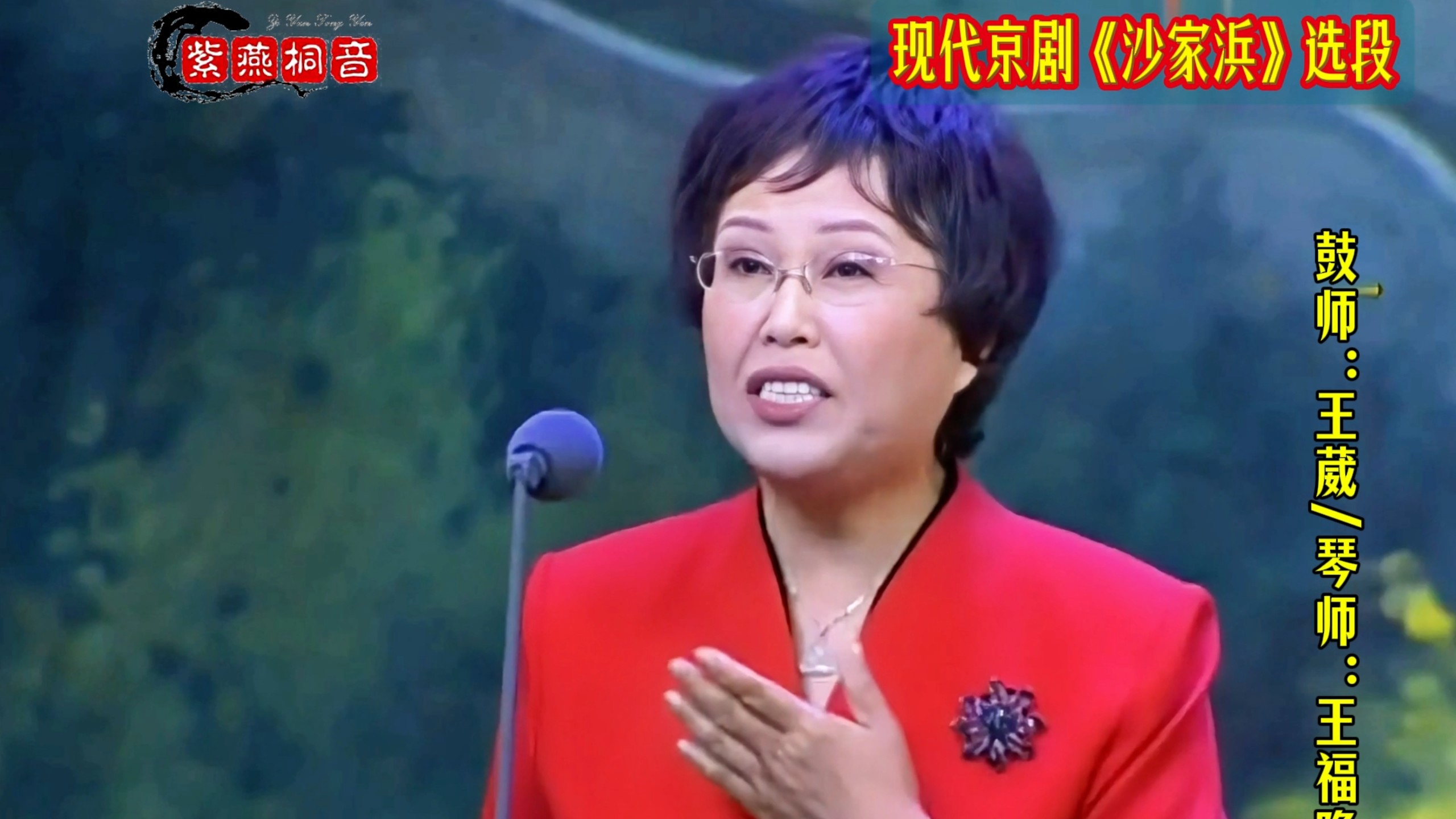 现代京剧《沙家浜》选段 夫妻同台