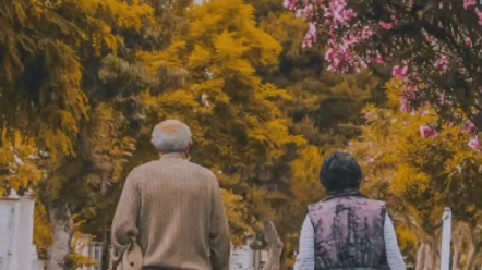 奚派京剧《诸葛亮得子返里》翻唱