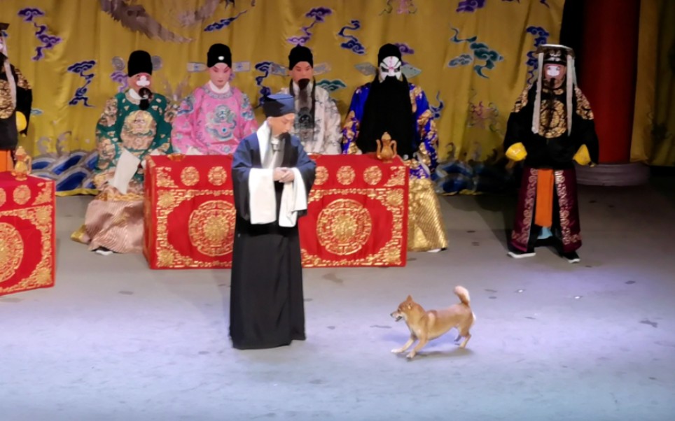 京剧《击鼓骂曹》李奕平饰祢衡