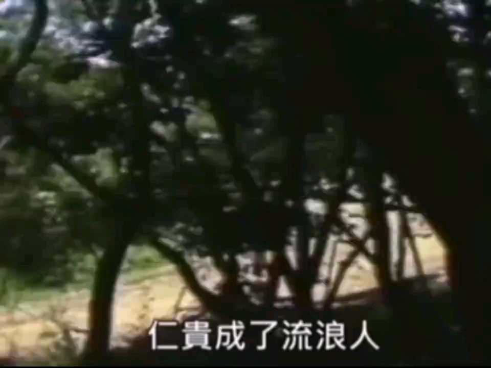 豫剧《薛仁贵征东》忠勇传奇